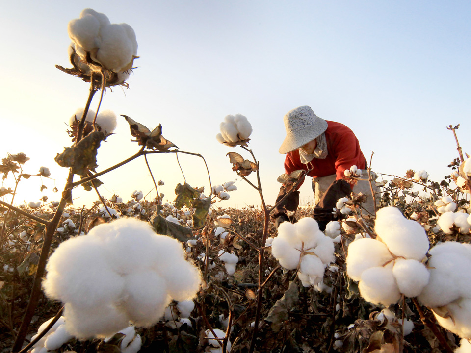 盛馬桂-廠家實力